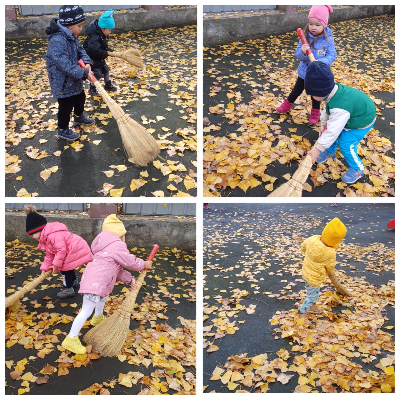 Ортаңғы "Балдырған " тобы "Күзгі еңбек" Тәрбиеші: Тілеуқабыл А.Т